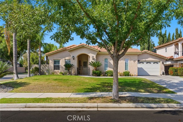 MLS #PI25243123 image #3