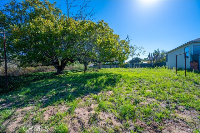 MLS #PI25243680 image #16