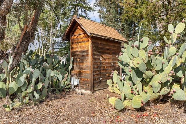 MLS #PI25248092 image #20