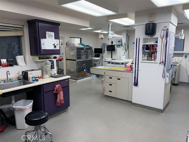 MLS #PI25248757 image #4