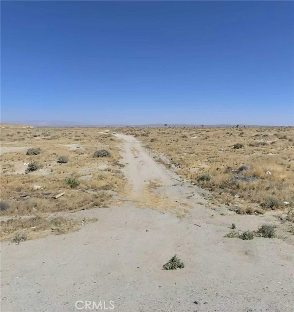 MLS #PI25249991 image #1