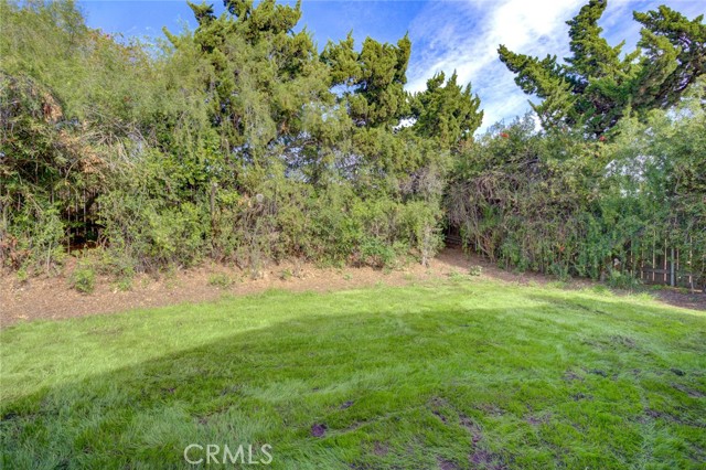 MLS #PI25253780 image #70