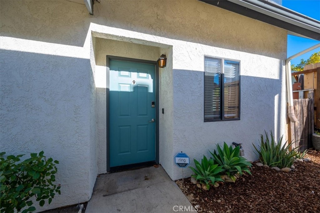 MLS #PI25256103 image #5