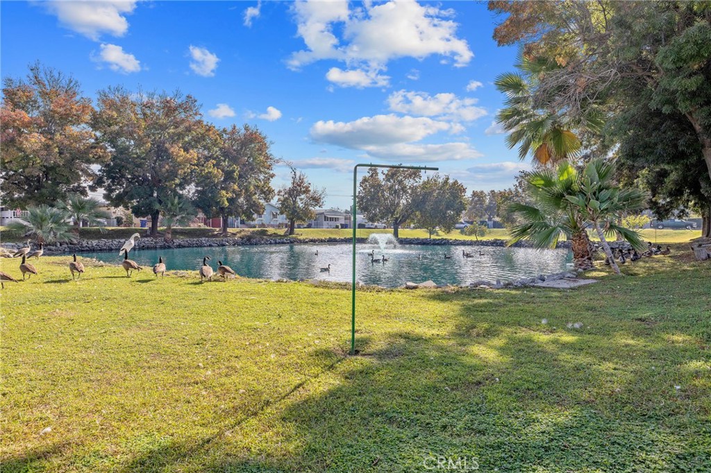 MLS #PI25261073 image #48