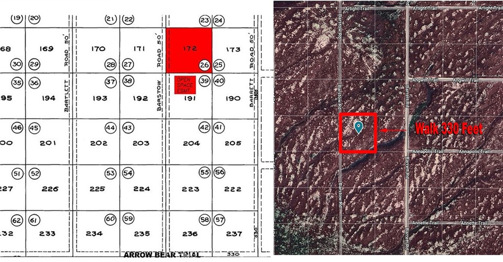 MLS #PI25261282 image #4