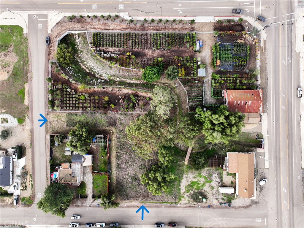 MLS #PI25262152 image #4