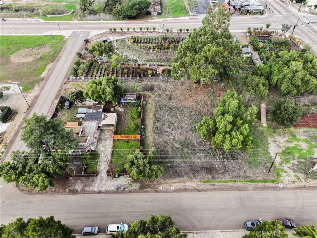 MLS #PI25262152 image #6