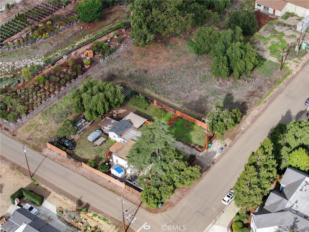 MLS #PI25262152 image #7