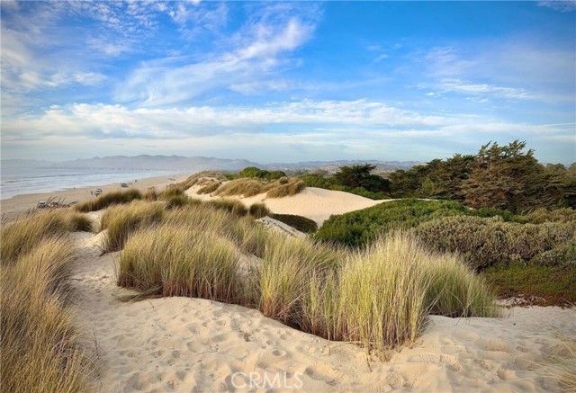 MLS #PI25262647 image #45