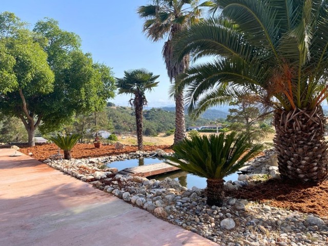 MLS #PI25263642 image #16