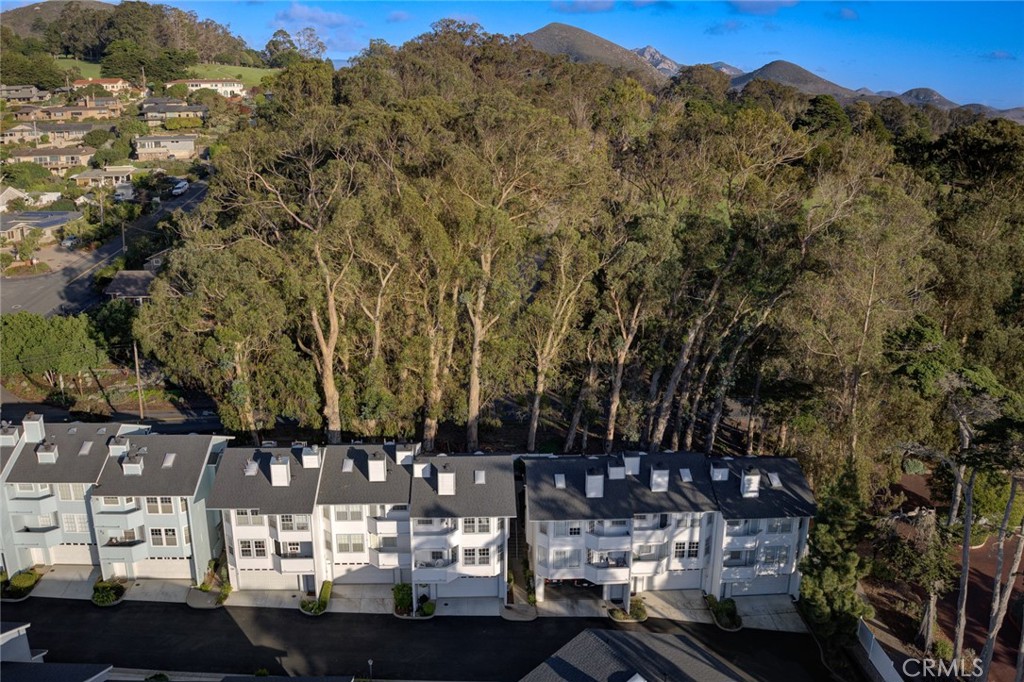 MLS #PI25263842 image #25