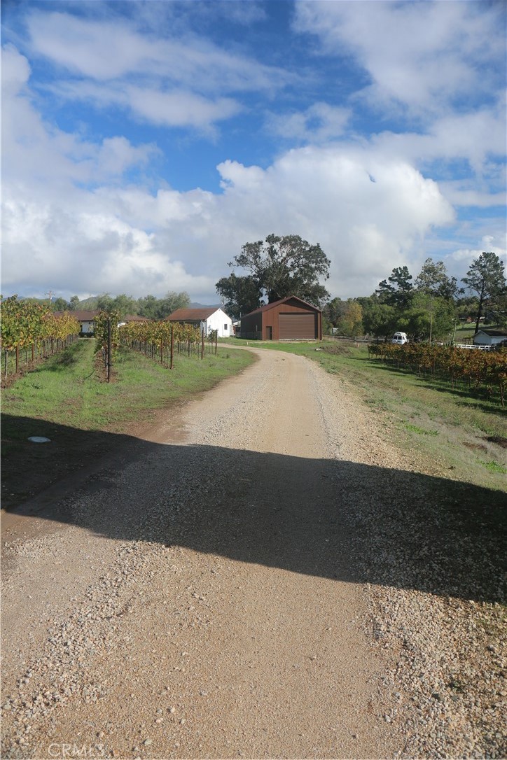 MLS #PI25263855 image #3