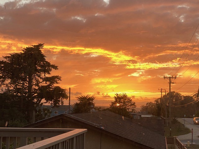 MLS #PI25264128 image #57