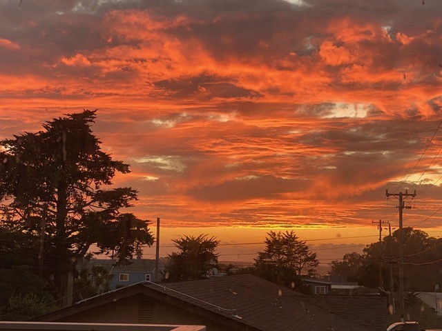 MLS #PI25264128 image #58