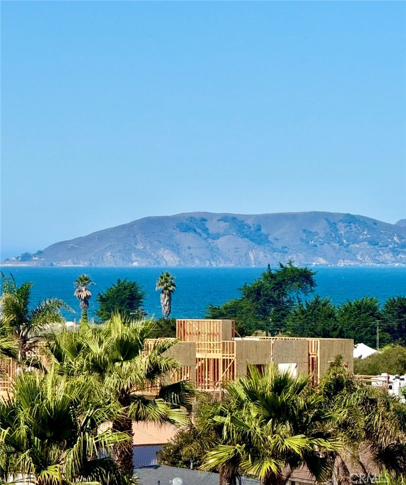 MLS #PI25264493 image #3