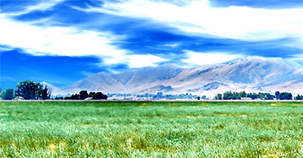 MLS #PI25264691 image #1