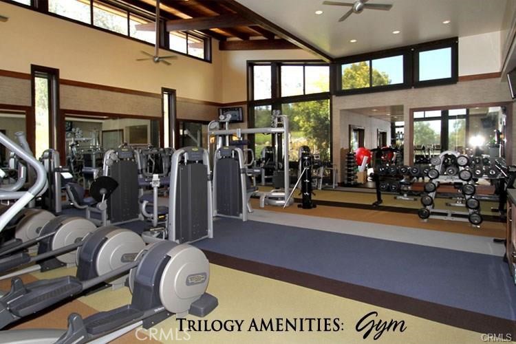 MLS #PI25267189 image #4