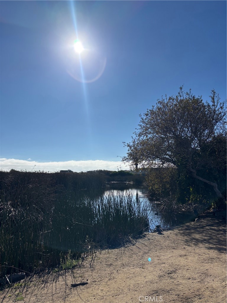 MLS #PI25267582 image #5