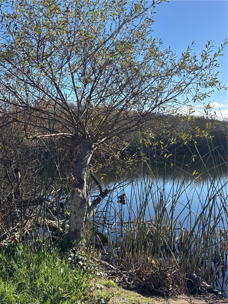 MLS #PI25267582 image #6