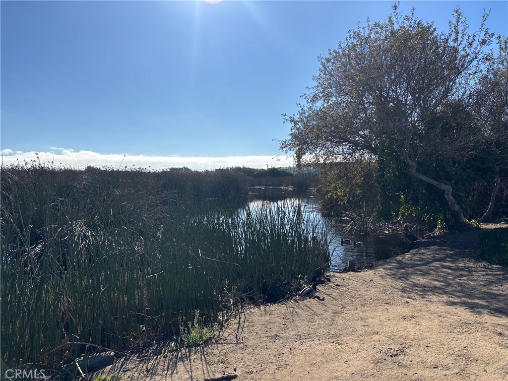 MLS #PI25267582 image #7