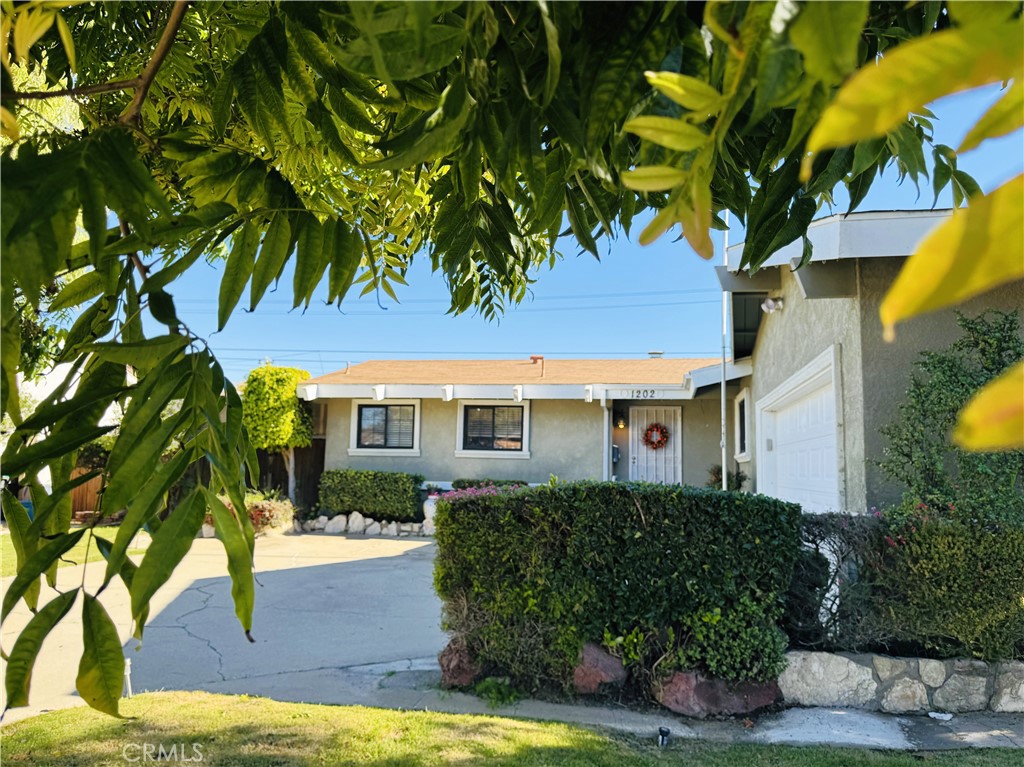 MLS #PI25267686 image #19