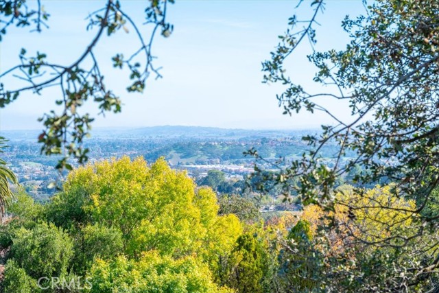 MLS #PI25267805 image #39