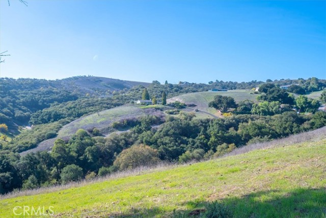 MLS #PI25267805 image #57