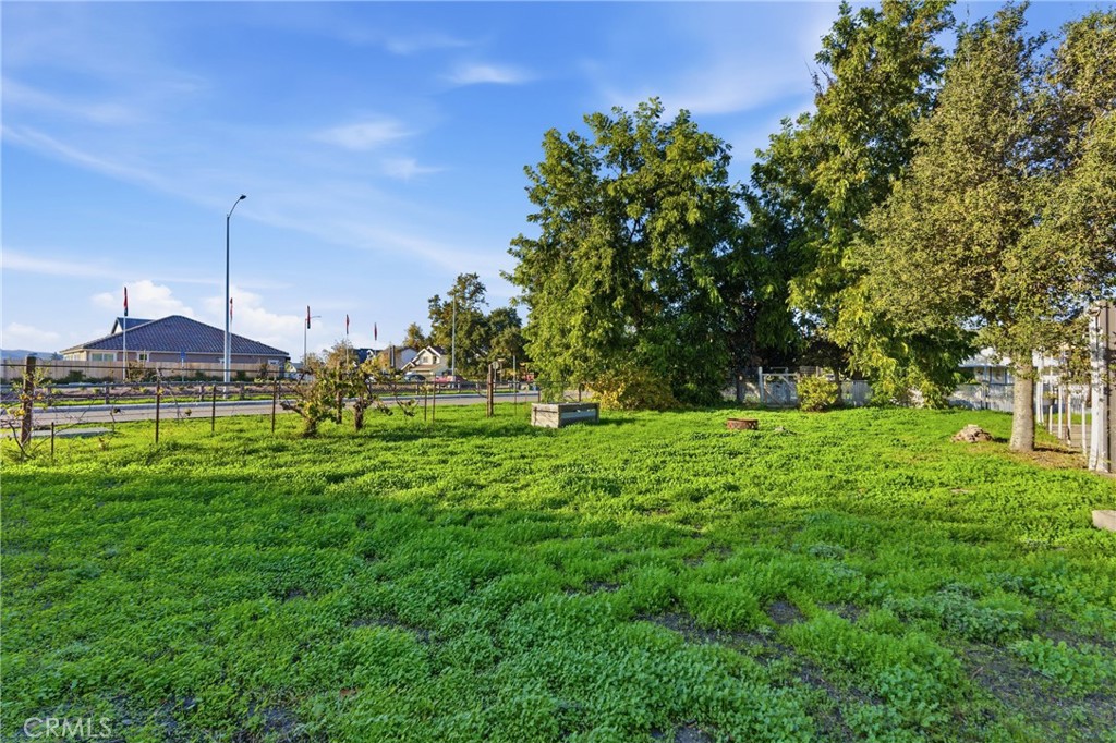 MLS #PI25269657 image #24