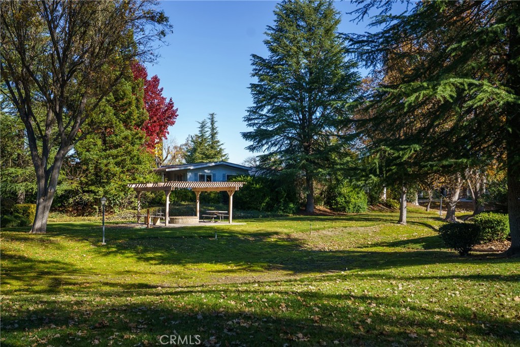 MLS #PI25272432 image #25