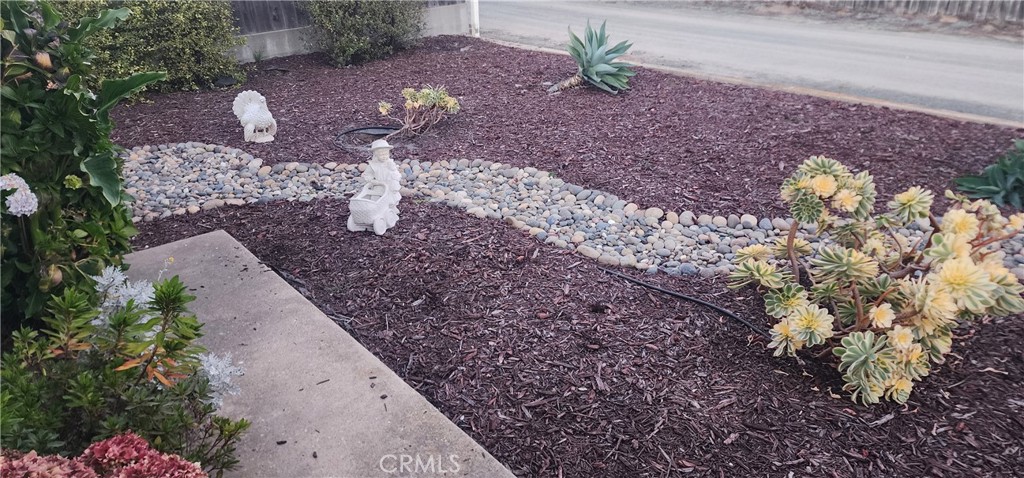 MLS #PI25274715 image #4