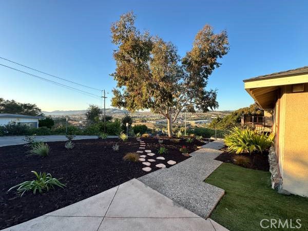 MLS #PI25281160 image #4