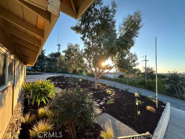 MLS #PI25281160 image #6