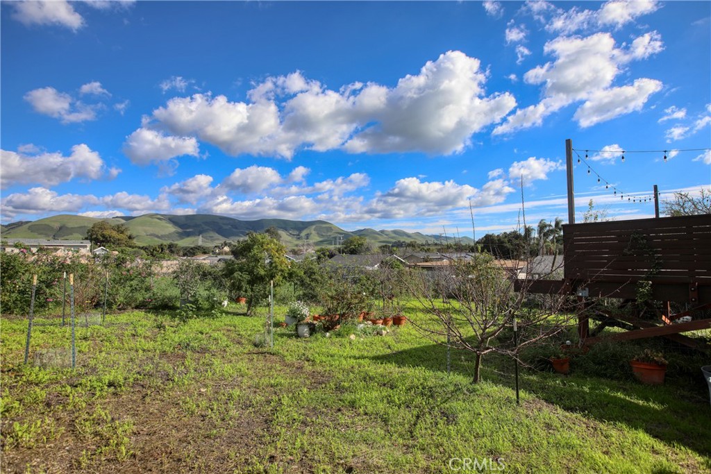 MLS #PI25282478 image #7