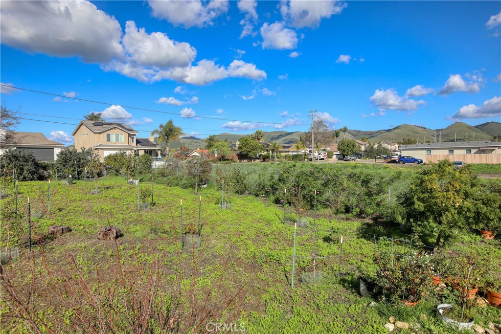 MLS #PI25282478 image #8