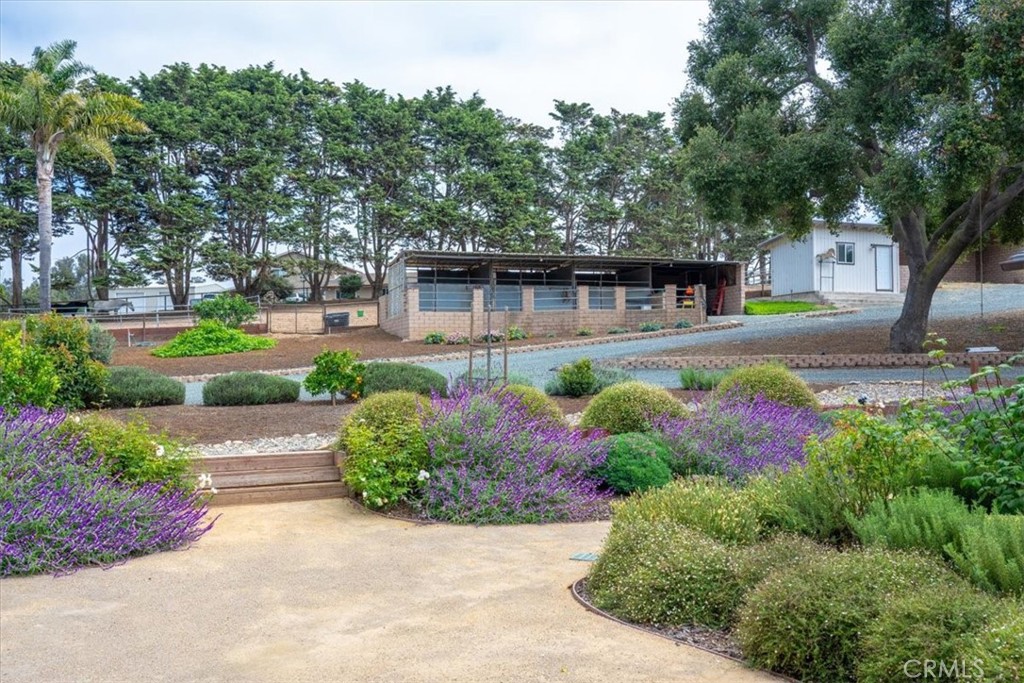 MLS #PI26001777 image #43