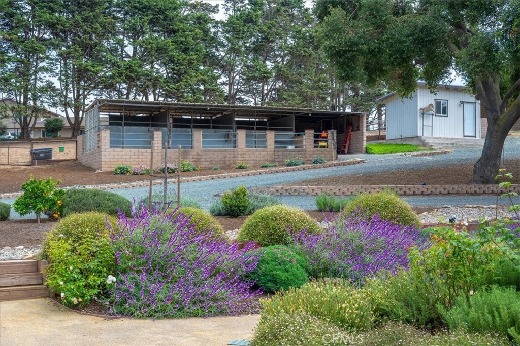 MLS #PI26001777 image #44