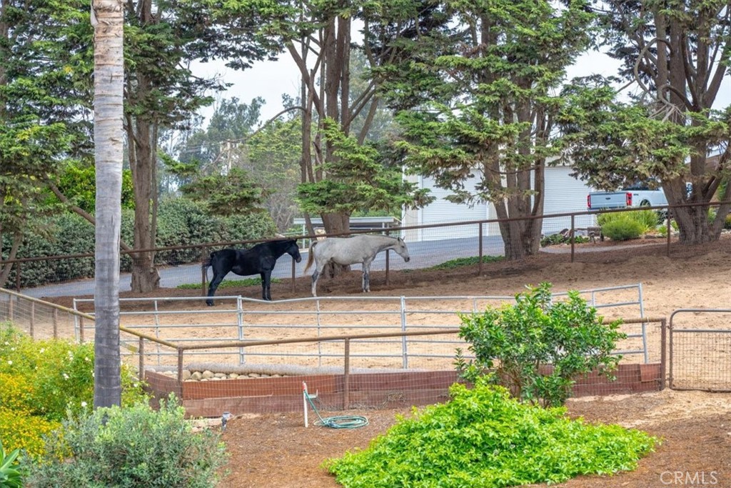 MLS #PI26001777 image #47