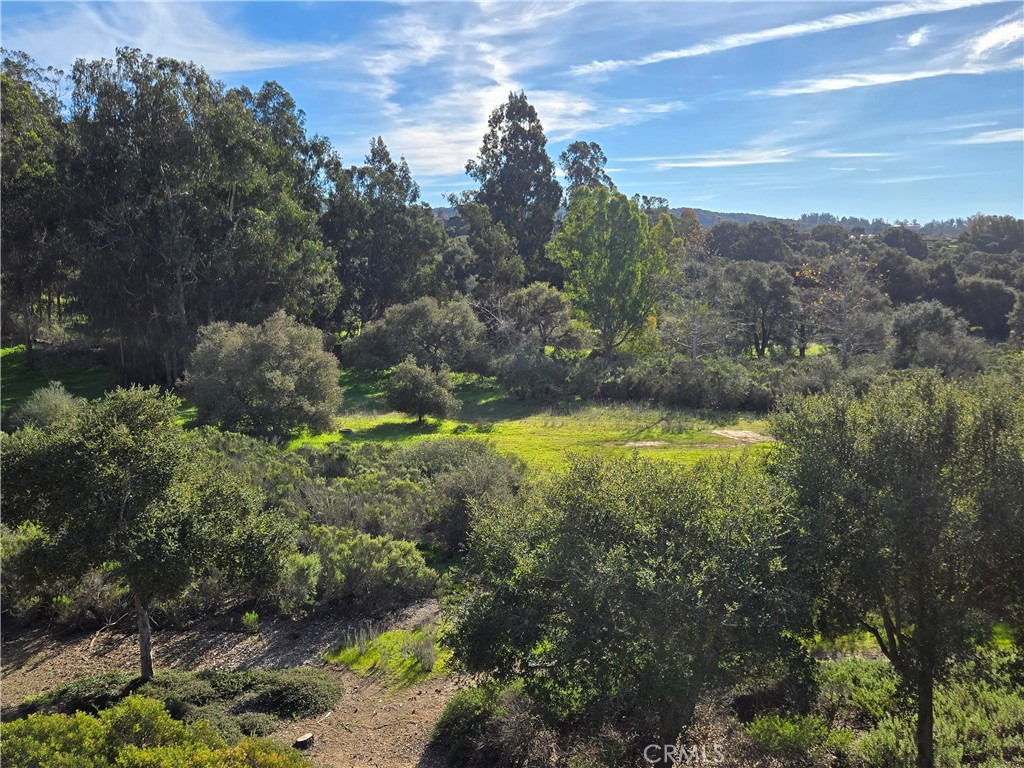 MLS #PI26006486 image #11