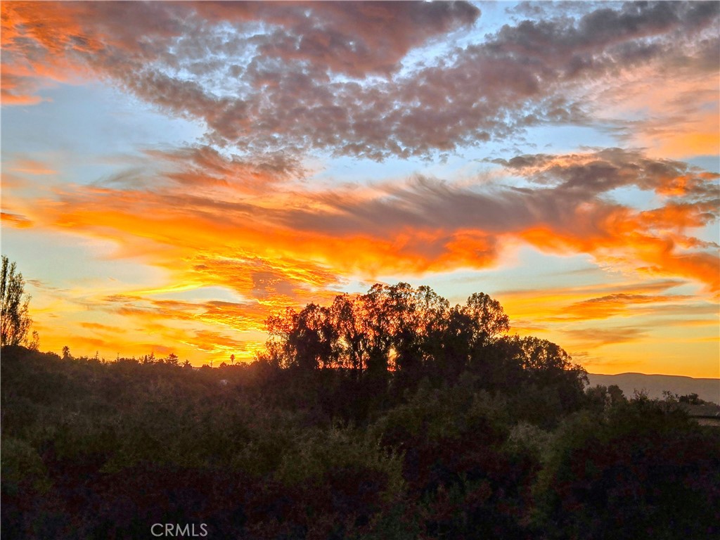 MLS #PI26006486 image #54