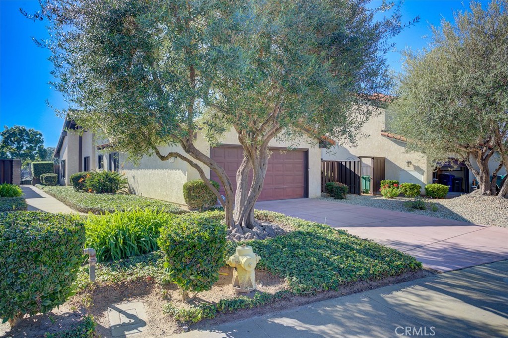 MLS #PI26009856 image #5