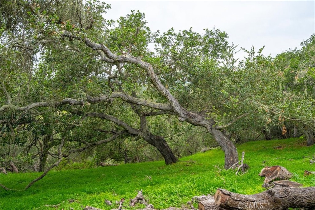 MLS #PI26013045 image #40