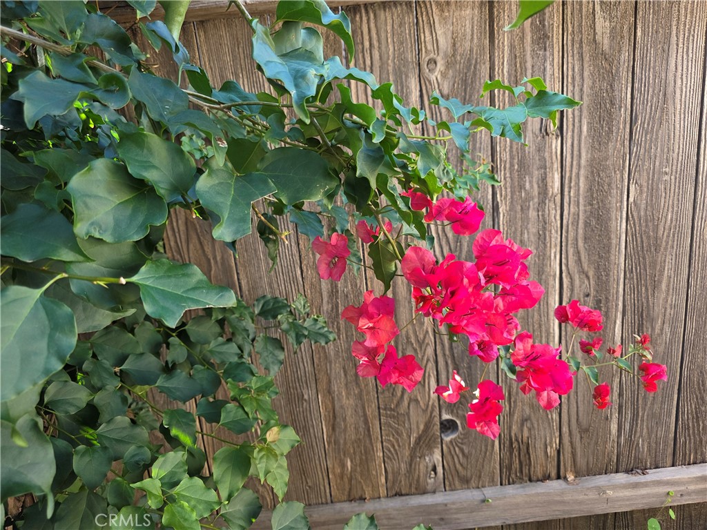 MLS #PI26017972 image #20