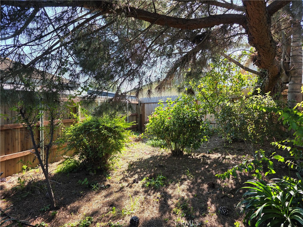 MLS #PI26017972 image #22