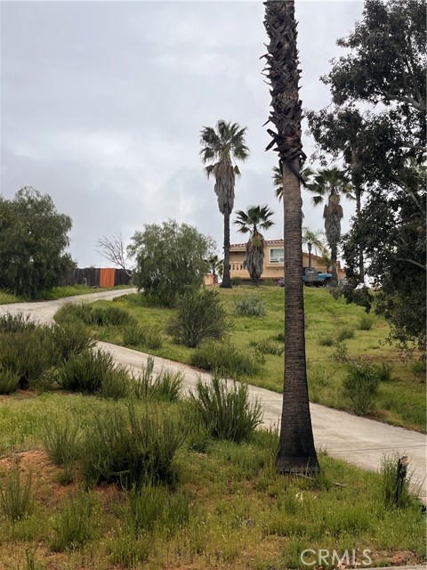 MLS #PT25085914 image #2