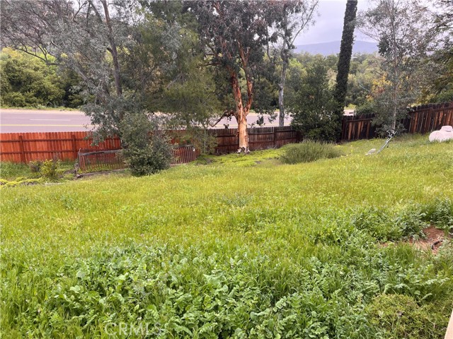 MLS #PT25085914 image #3