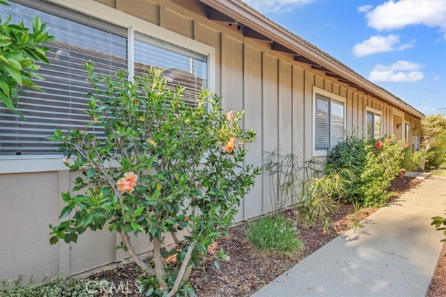 MLS #PT25167220 image #42