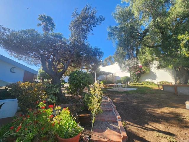 MLS #PTP2406181 image #19