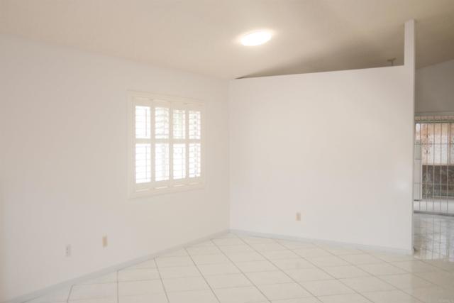 MLS #PTP2500312 image #7