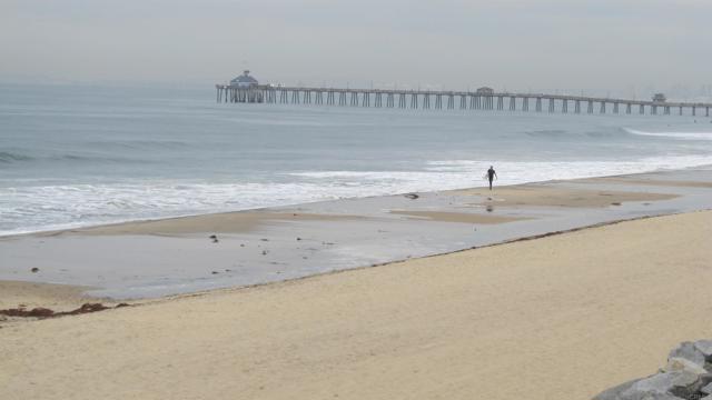 MLS #PTP2500457 image #14