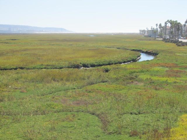 MLS #PTP2500457 image #19